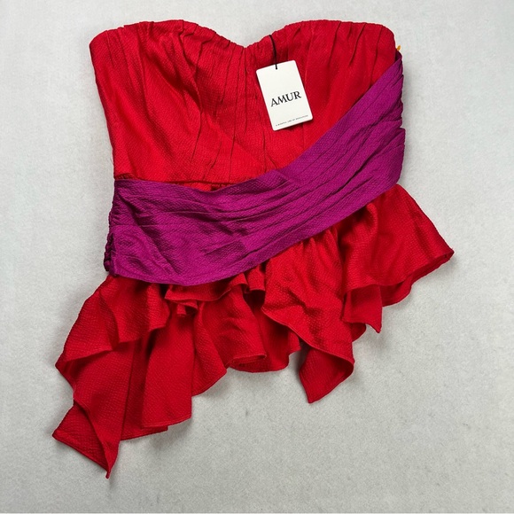 AMUR Matilda Color Block Strapless Bustier Size 10 NWT $348 - Picture 2 of 8